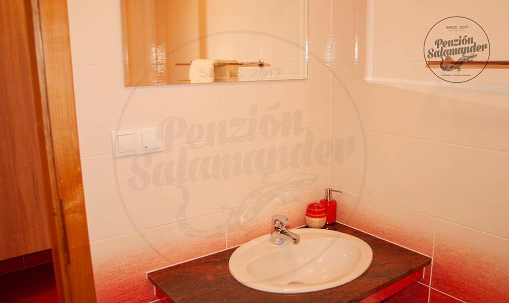 Penzion Salamander Terchova Exterior photo